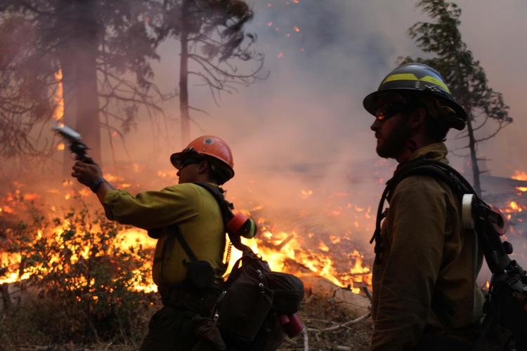 Skovbrand. Den voldsomme skovbrand i Californien begyndte, da et bål kom ud af kontrol, siger myndighederne. (Arkivfoto) 