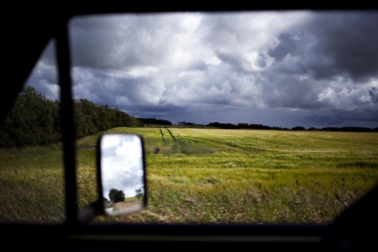 sådan oplever flere og flere børn naturen: Igennem et bilvindue. 
