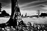 Godsejer. I år er det 44 år siden, at Adam Knuth slap mangfoldige eksotiske dyr løs i sin slotspark på Lolland. 