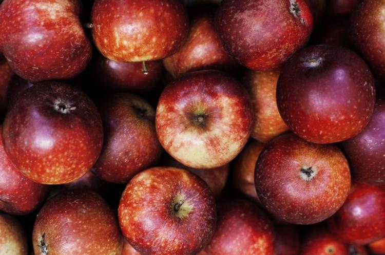 Nedregulering. De tyske supermarkeder har nedsat deres grænseværdi for sprøjtemidler til æbler, efter de tyske kunder straffede supermarkederne ved ikke at købe æbler. 