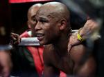 legende. Floyd Mayweather Jr. hviler ud i hjørnet mellem to omgange i kampen mod Shane Mosley i 2010. 