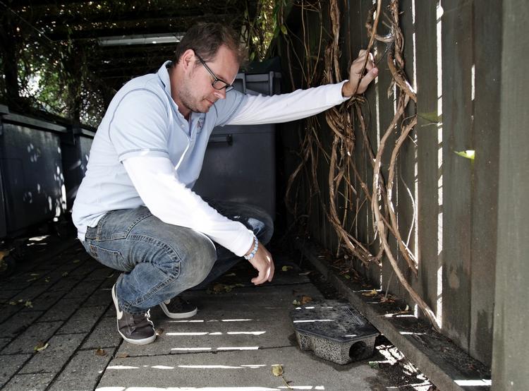 Rottegift. I Carsten Heyns ejendom på Borups Allé i Københavns nordvestkvarter kæmper de mod rotter på tredje år. 