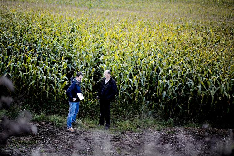 totalstop. Det franske energiselskab Total var i fuld gang med at omdanne denne majsmark i Dybvad i Nordjylland til en boreplads, da Frederikshavn Kommune slog bremserne i. På billedet ses projektleder fra Tolal, Henrik Nicolaisen (til venstre), og landmand Kristian Jensen. 