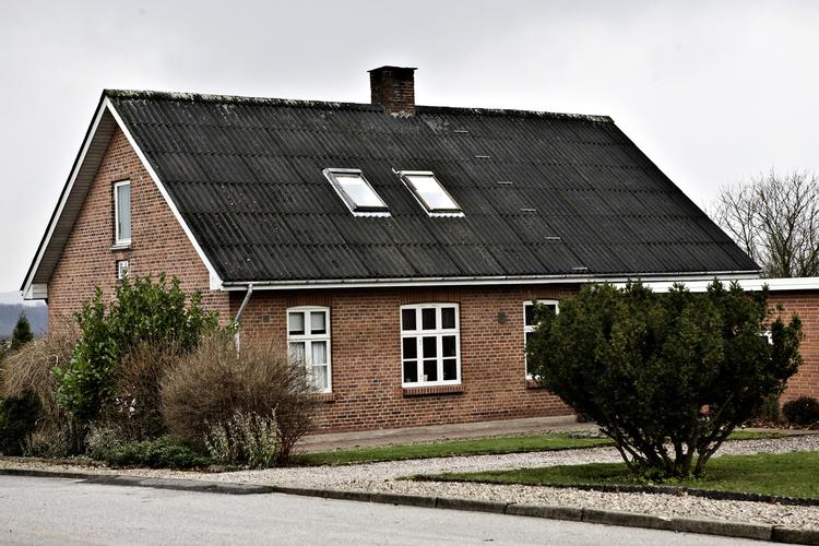 Boliglån. Lånetyper som F1-lån og lån med afdragsfrihed er blevet for udbredte ig bør begrænses, menerm mindretal i Rangvid-udvalg. 