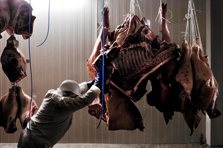 udflytning. Høje lønninger i Danmark er en af årsagerne til, at Danish Crown bl.a. driver dette slagteri i tyske Essen i Niedersachsen. 