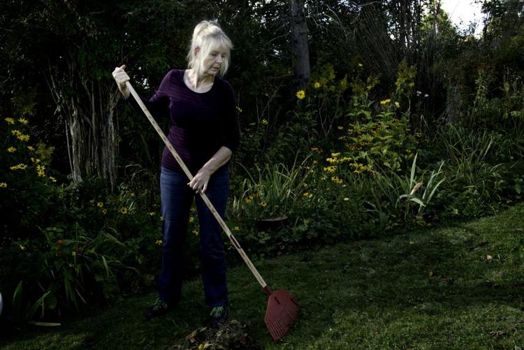 Kompost. Alle de blade der er faldet er træerne kan virke som en udemærket gang gødning til bede, græsplane og træer. 
