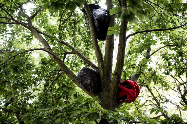 Skyggetilværelse. Mange af de udenlandske hjemløse har ikke et sted at stille deres ejendele. Nogle gemmer derfor deres tøj og soveposer i træerne i Folkets Park på Nørrebro, hvor nogle af dem også sover. 