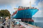 Rekordstort. Maersk Majestic af typen Triple-E er så stor, at Rundetårn kan ligge på langs 11,5 gange fra stævn til agterstavn. 