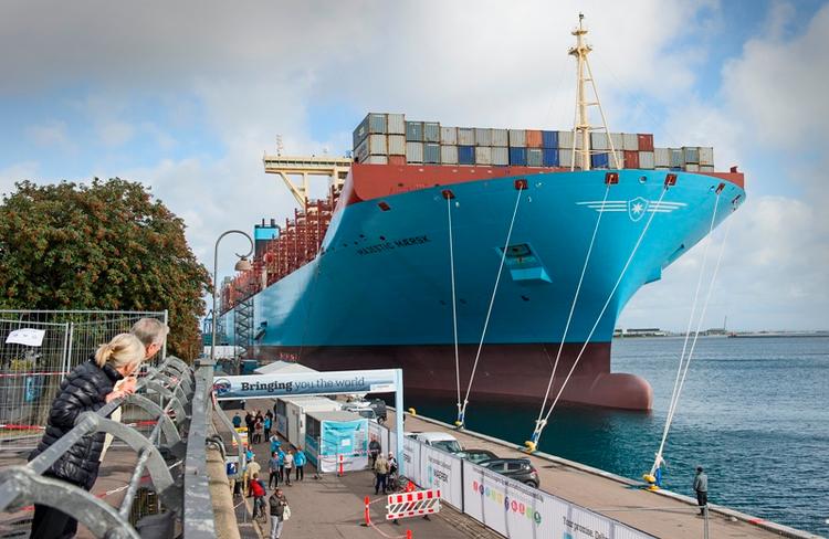 Rekordstort. Maersk Majestic af typen Triple-E er så stor, at Rundetårn kan ligge på langs 11,5 gange fra stævn til agterstavn. 