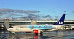 Hamskifte. Engang var SAS forretningsmandens flyselskab, men nu signalerer et omdekoreret fly noget andet. 