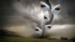 sharknado-attack