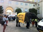 Protest. Gymnasieelevernes sammenslutning, DGS, har lejet elefanten Rosa Linde for at markere deres utilfredshed med besprarelser på uddannelsesområdet. Den fik i dag en tur foran Christiansborg. 