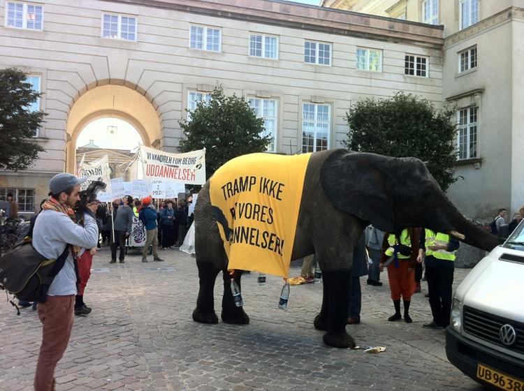 Protest. Gymnasieelevernes sammenslutning, DGS, har lejet elefanten Rosa Linde for at markere deres utilfredshed med besprarelser på uddannelsesområdet. Den fik i dag en tur foran Christiansborg. 