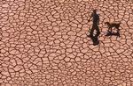 KLIMAFORANDRINGER. En spanier går over den udtørrede bund på et vandreservoir i Alcora i Spanien. 
