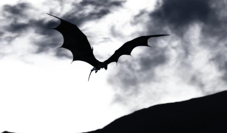 Solnedgang. Wyvern, en af de mange drager i filmen. 