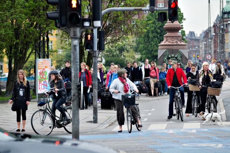 Beregning. Antallet af cykelture pr. hverdagsdøgn trods den milliarddyre indsats kun vil være steget med knap 3 procent i år 2025. 