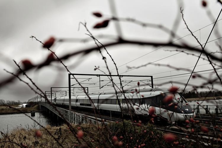 Modsvar. DSB vil høste store gevinster af den kommende togplan, ifølge transportminister Pia Olsen Dyhr. 