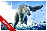 32769217---Nyt-anl+ªg-til-isbj+©rnene-i-Zoo---VALENTE-DITTE_udsolgt