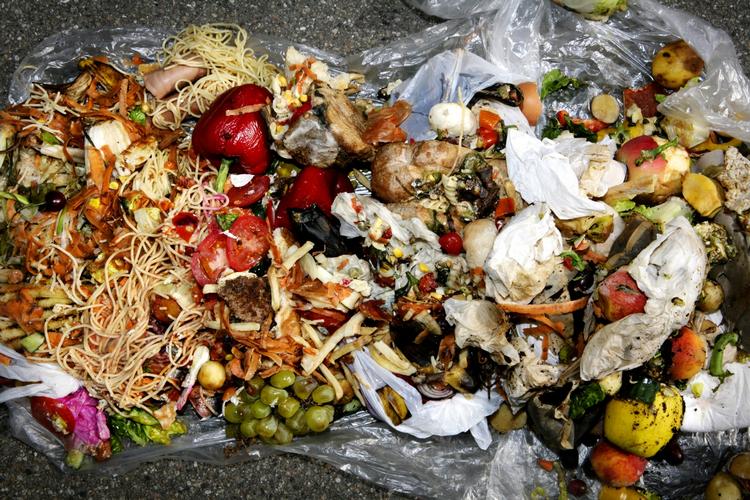 oplæring. »Vi skal lige have det lært. Vi skal vænne os til det. Ligesom vi har vænnet os til at smide aviser i en container for sig, glas og flasker for sig og batterier for sig«, siger statsminister Helle Thorning-Schmidt. 