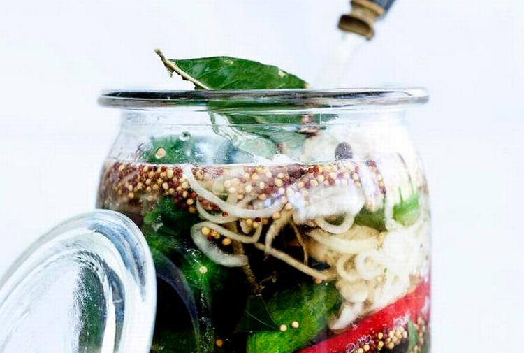 Chilisyltede_drueag_788524a_web