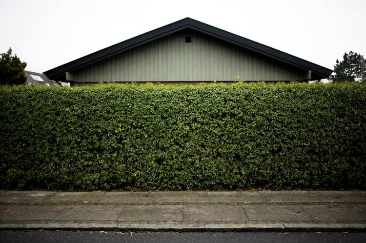 spredning. Det er vidt forskellige bud, man får, når man spørger økonomer om, hvordan huspriserne vil udvikle sig. De fleste forudser stigninger bag hækken, men ellers er variationen stor. 