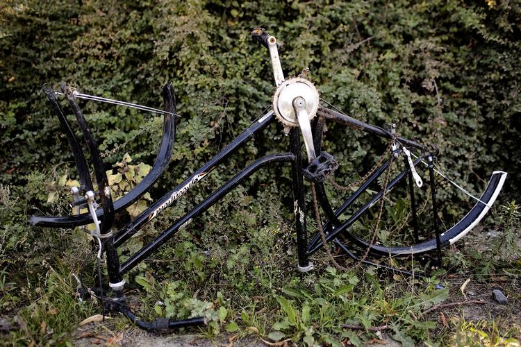surt. I 1995 førte 2,92 procent af de anmeldte cykeltyverier til en sigtelse. Sidste år var dette tal faldet til 0,92 procent. 