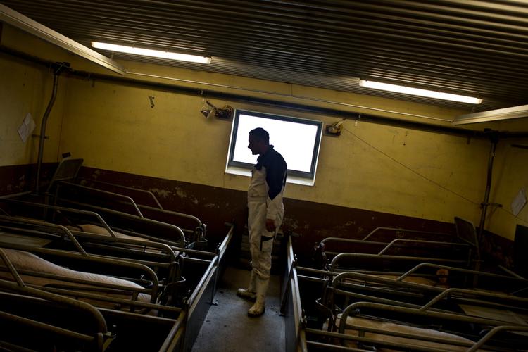 BYRDE. Danske landmænd slæber rundt på gigantisk gæld og mange er teknisk insolvente. Det udgør en fare for dansk økonomi, og derfor blev landbrugets kreditinstitut i dag en del af syv banker, som politikerne stiller ekstra krav til, fordi de udgør en trussel for Danmark, hvis de får problemer. 