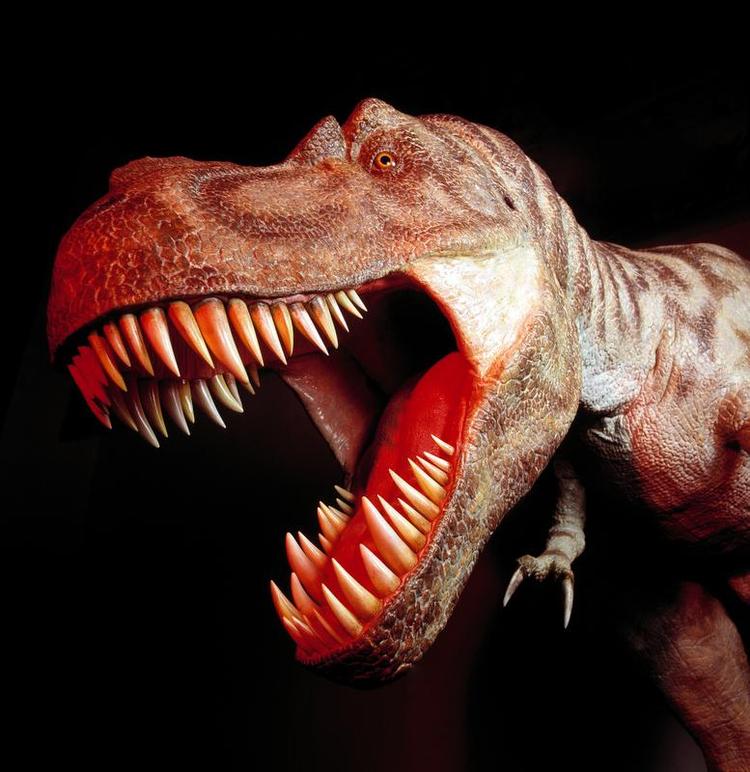 T-Rex. Du kan blandt andet tage i Experimentarium til dinosaur-event med børn som guider. 