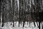 Vinter. Der er mange ting man kan gøre for at undgå at vintertrætheden og i sidste ende vinterdepression. 