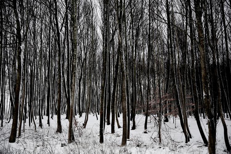 Vinter. Der er mange ting man kan gøre for at undgå at vintertrætheden og i sidste ende vinterdepression. 