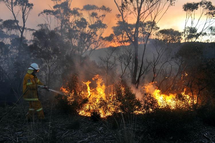 Ildebrand. En brandmand under arbejdet med at slukke de mange brande, som stadig hærger delstaten New South Wales i Australien. 