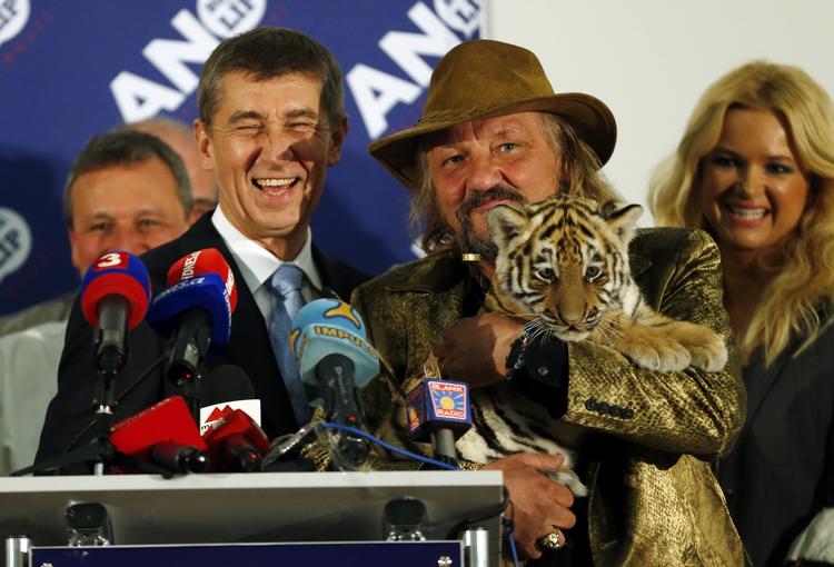 DEn tjekkiske milliardær og leder af protestpartiet ANO Andrej Babis lykønskes på valgnatten af cirkusejer Jaromir Joo og dennes tigerunge Fred. Yderst er det partilederens kone Monika. 