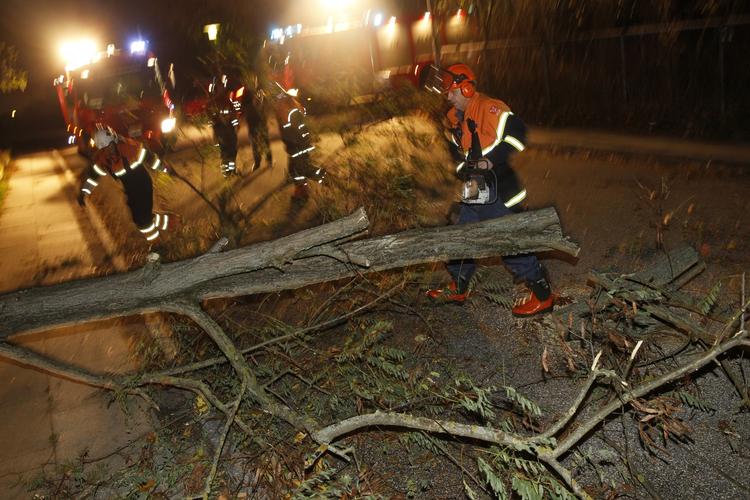 Redningsarbejdet er i gang for at sikre, at danskerne kan komme frem på vejene, hvor der fortsat ligger mange træer og spærrer kørebanen. Foto: 