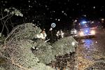 Naturkræfter. Store dele af Danmark blev ramt af den voldsomme storm - her er vi i Glostrup. 