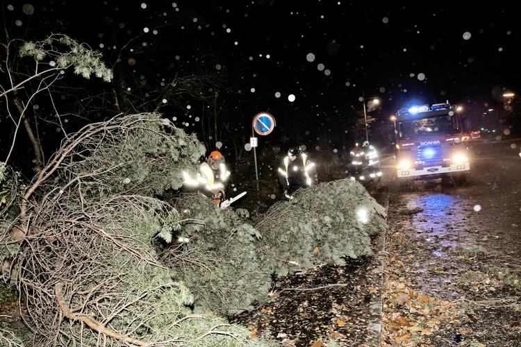 Naturkræfter. Store dele af Danmark blev ramt af den voldsomme storm - her er vi i Glostrup. 