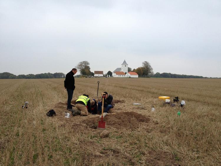 Fund. Marken, hvor møntskatten blev fundet. I baggrunden ses Tamdrup Kirke. 