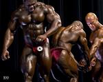 36.-Bodybulidere_DK