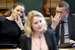 SPØRGETID. Johanne Schmidt-Nielsen fra Enhedslisten fik svar på et af sine spørgsmål under dagens spørgetime i Folketinget. 