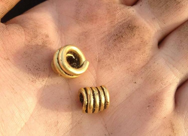 Skattejagt. De to guldperler blev fundet tæt på stedet, hvor Strandby-skatten lå. Det er ikke, som det ellers kunne ligne ringe, men perler, der kan sætte på en snor eller som pynt på tøjet. 