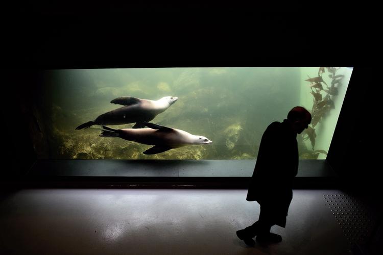 planet. De store idéer bag Den Blå Planet har tilsyneladende haft færre tanker om funktionalitet end om stedets unikke form, skriver Miriam Zesler. 