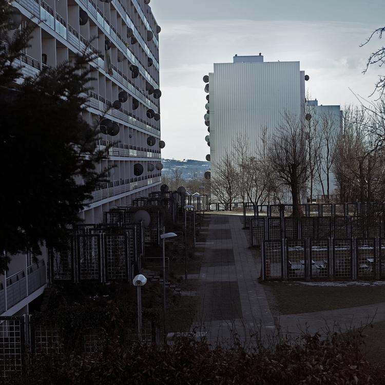 Observation. Dagens kronikør har boet et år i Gellerupparken i Aarhus for at indsamle data til hendes ph.d.-afhandling. 