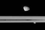 Månerne Janus og Prometheus ses her svævende langs Saturns ringe. 