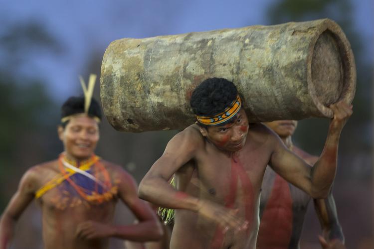 indfødt. En indiansk mand fra Kraho-stammen bærer en træstammen i løbekonkurrencen ved legene i Ciuba i Brasilien. 
