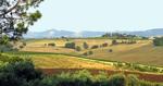 Ferie. Umbrien er knap så kendt som Toscana, men bestemt et besøg værd. 
