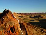 FUNDSTED. Pilbara-området er et yndet sted for forskere på jagt efter fossiler fra det tidlige liv. Den hvide streg på klippen viser forsteningerne af 3 milliarder år gamle mikrober. 