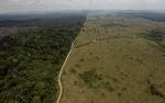 Brazil Amazon Destruction