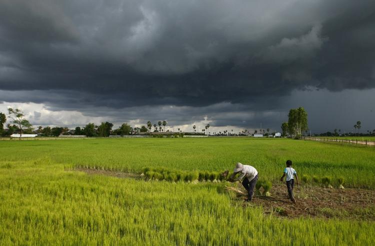 STØTTE. Den Globale Fond hjælper blandt andet med aids-behandling og malariabekæmpelse i Cambodja. 