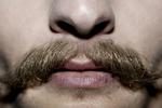Vækst. De fem Movember-deltagere, som Politiken følger, er for alvor begyndt at kunne fremvise noget overskæg. 