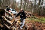Truet. For Peter Ottesen er det slut med at købe og save brænde i Frederiksdal Skov, hvis brændeafgiften bliver en realitet. 