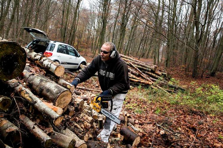 Truet. For Peter Ottesen er det slut med at købe og save brænde i Frederiksdal Skov, hvis brændeafgiften bliver en realitet. 